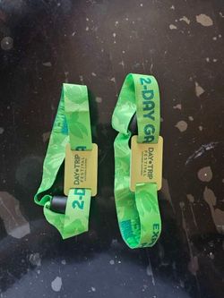 2 day trip GA  tickets