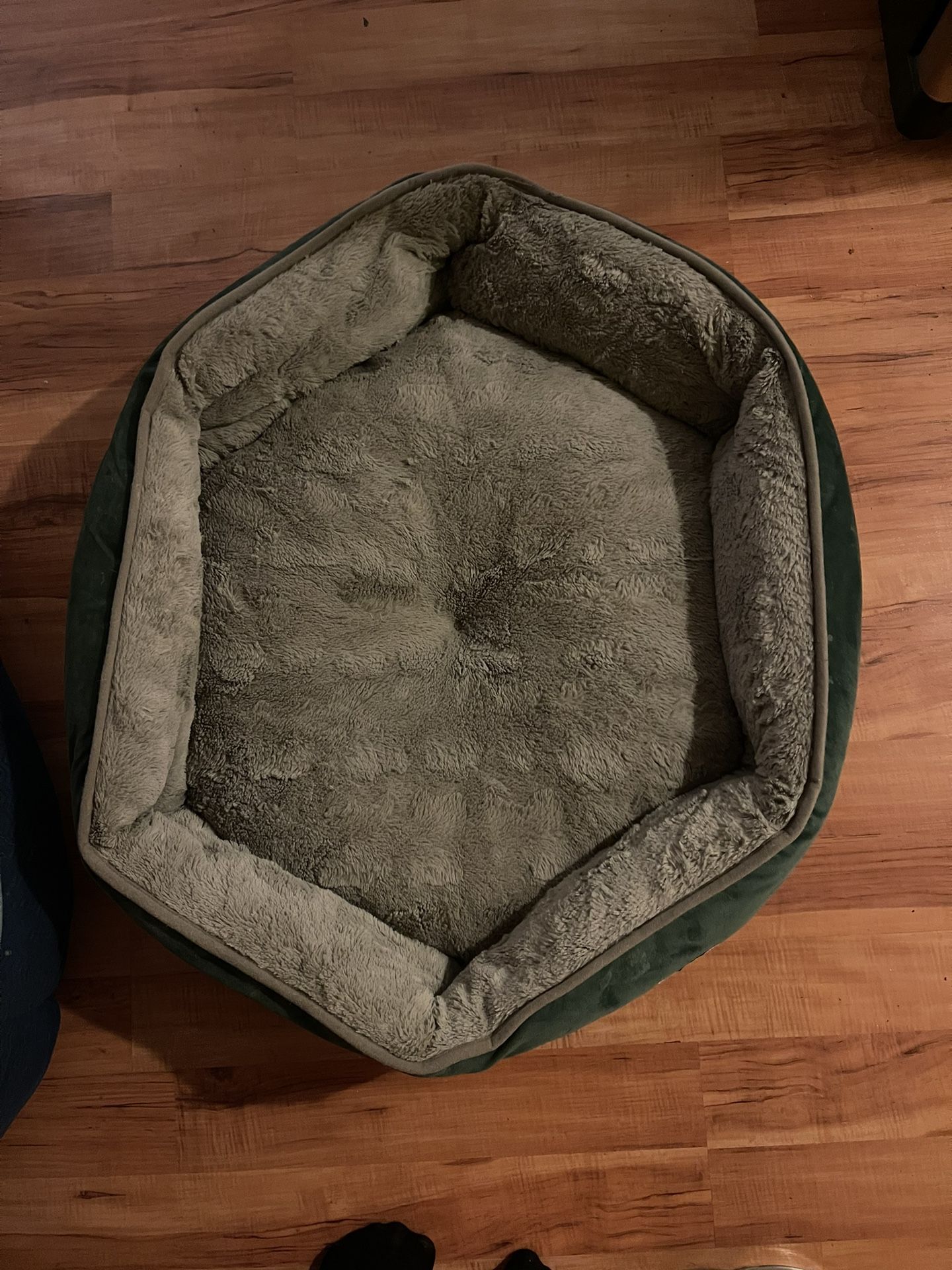 I Medium & 1 Large Dog Bed and Medium Life Jacket