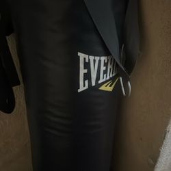 Everlast Punching Bag 