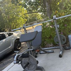 Weight Bench And Weights 