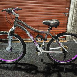  Genesis Whirlwind Mountain Bike. 