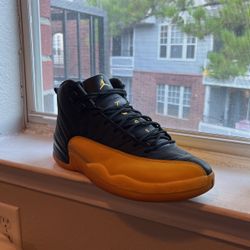 Jordan 12s