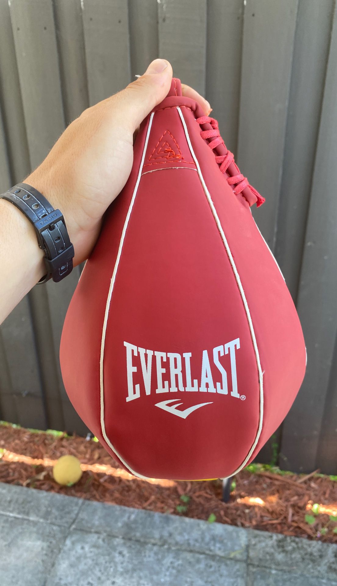 everlast speed bag
