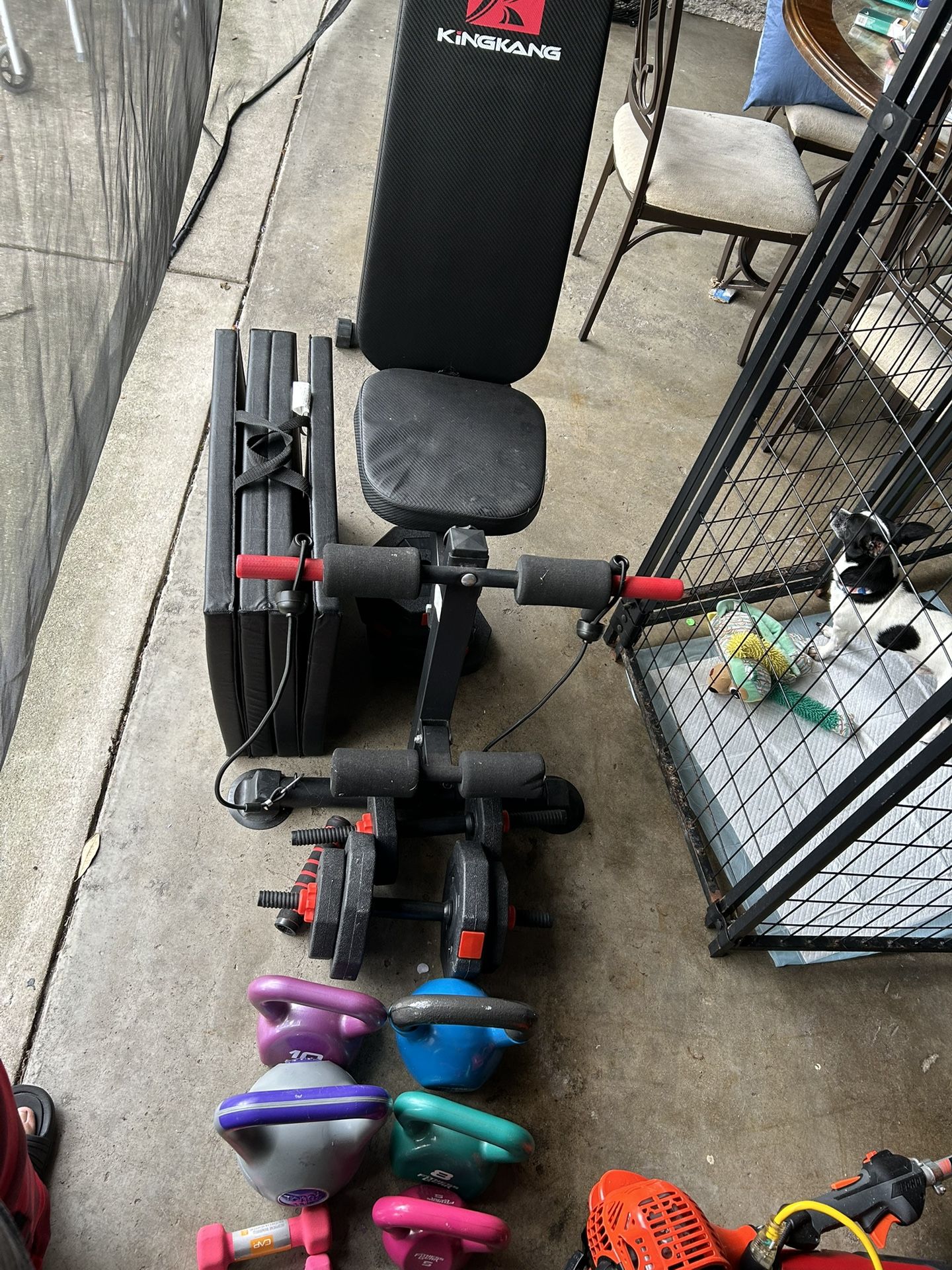 Gym Set Everything