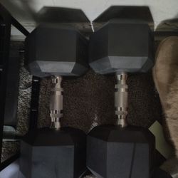 40 Pound Dumbbells 