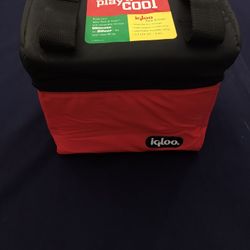 6 Pack Can Igloo Cooler