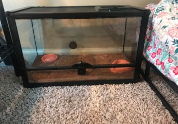 Terrarium