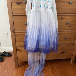 Costume Dress-Frozen 2-Elsa