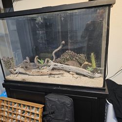 Huge Reptile Tank With Custom Stand And Lights