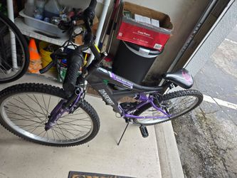 Bicycle