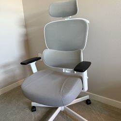 AreShark Ergonomic Office Chair – High-Back Mesh Price: $150 (Originally $179+)