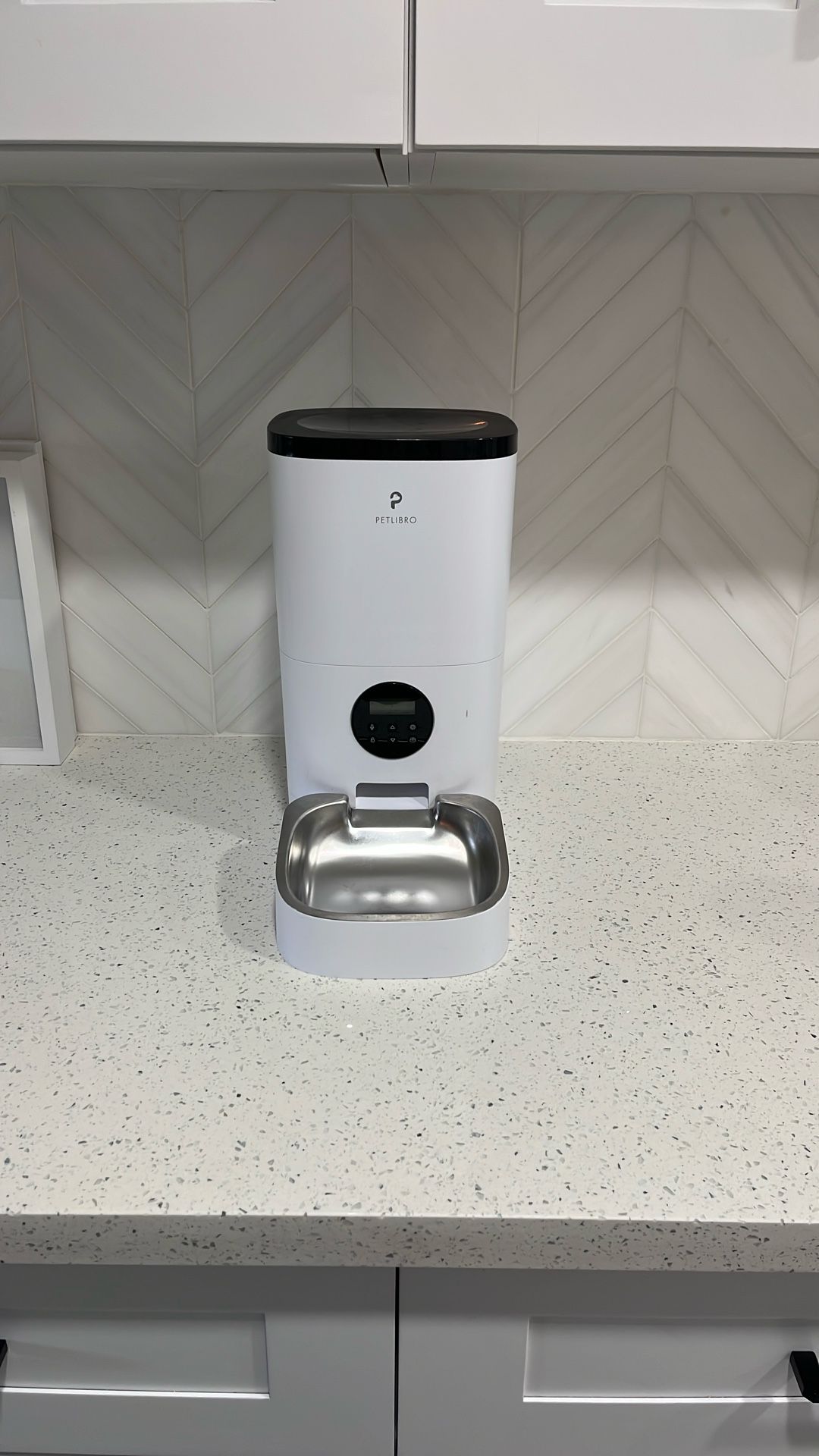 Automatic Pet Feeder