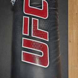 UFC 100lb Heavy Bag