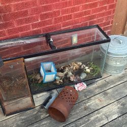 Fish Tank