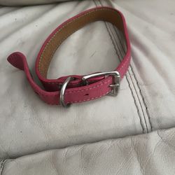 Dog Collar
