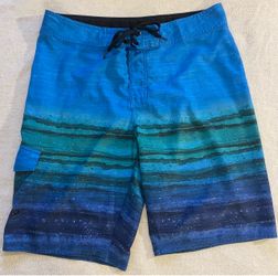 Hang Ten Board Shorts Size 34