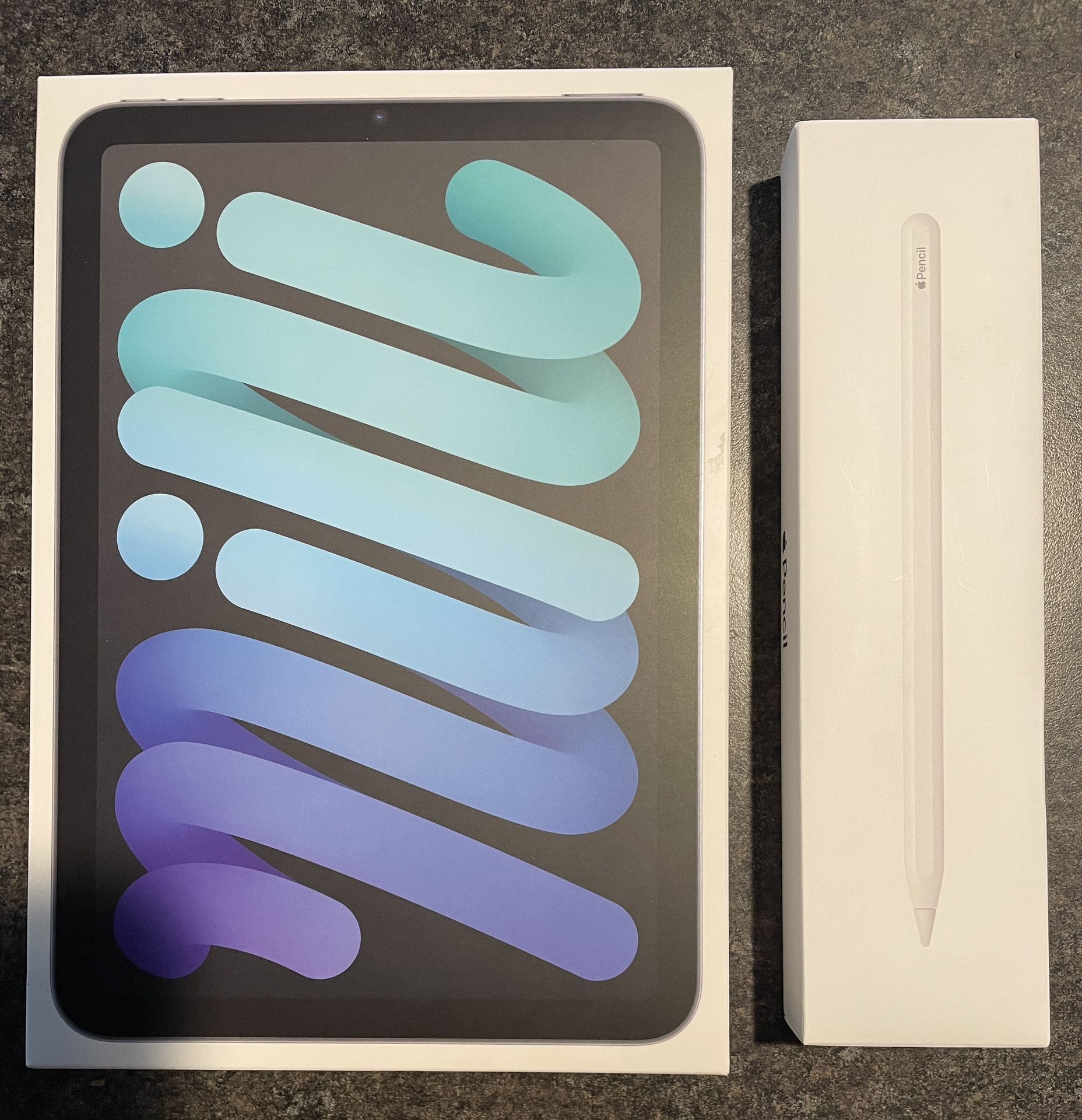 iPad Mini 6 With Apple Pencil