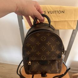 Louis Vuitton Palm Spring Mini