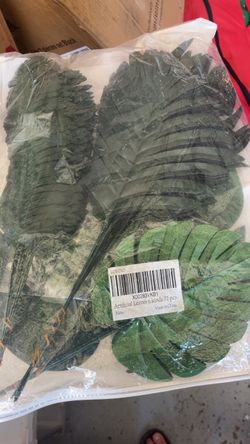 Tropical green leaves