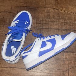 Nike Retro Dunks Blue