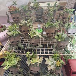 Cute GROOT Planters With Succulents