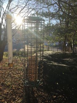 Bird Feeders, lot of two, the green one typically goes for 40 plus on Amazon. OfferUP 25.00 for all of them.