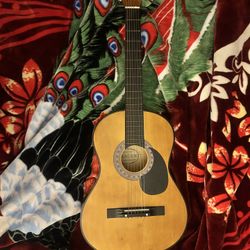 Classical Guitar (beginner)