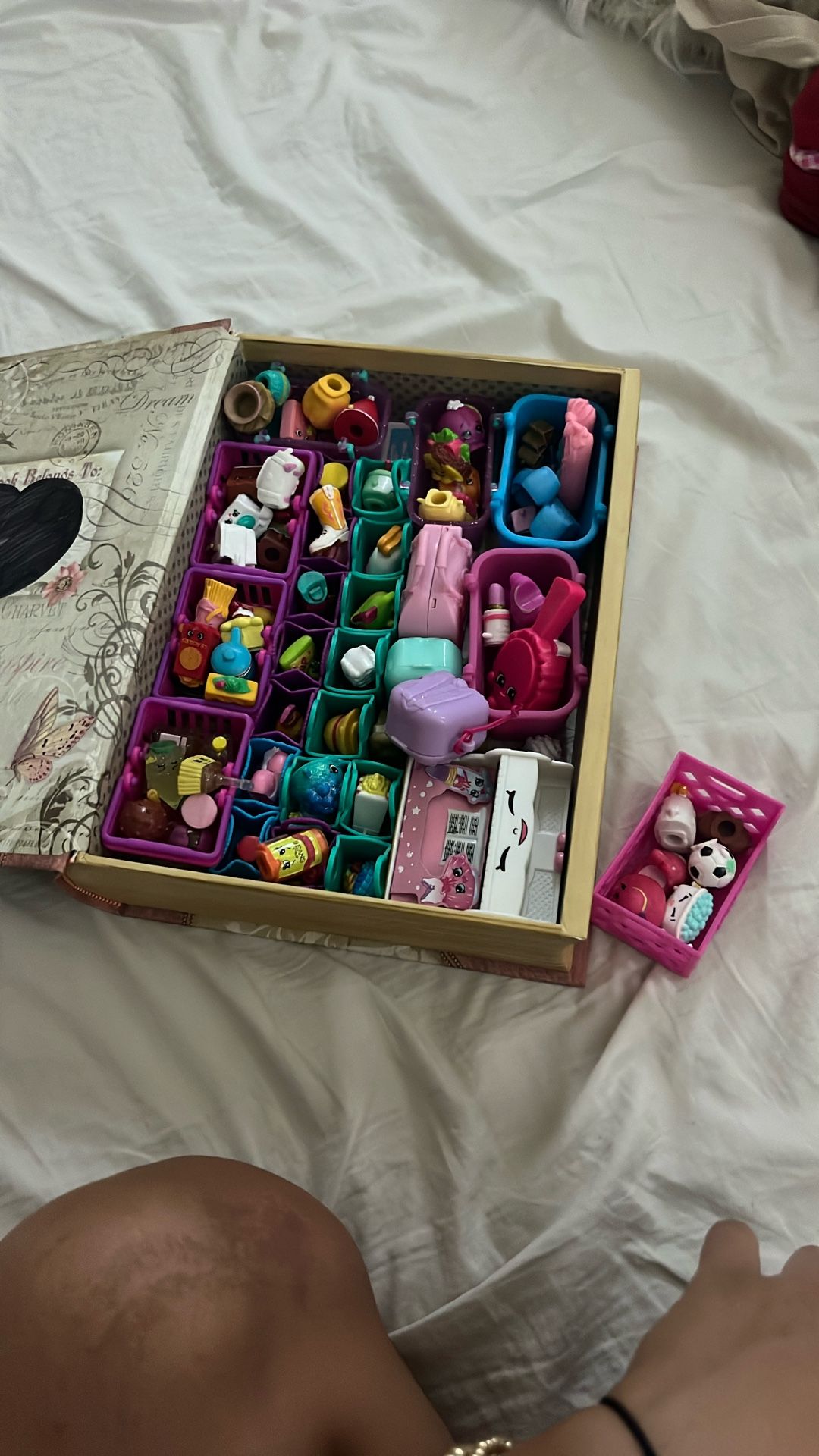 Shopkins