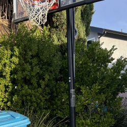 LIFETIME ADJUSTABLE PORTABLE BASKETBALL HOOP