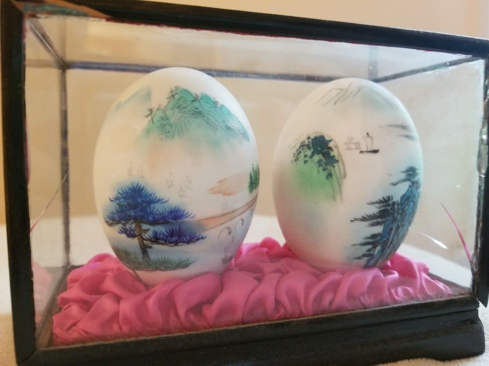 Painted Eggs In Case