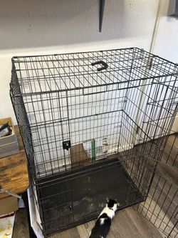 Small Animal Cage.