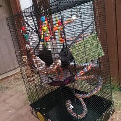 Collapsible Rat Cage Includes Everything Here