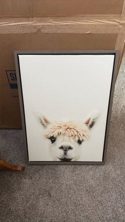 Framed Alpaca Canvas Wall Art