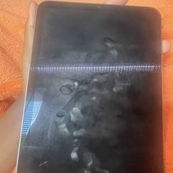 iPad Mini 