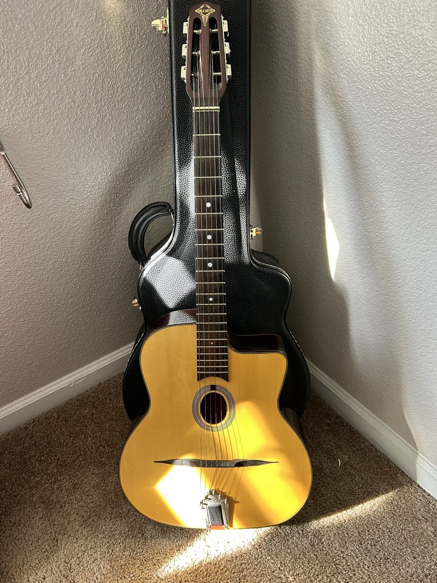 Gypsy Jazz Guitar And Case