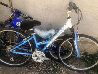 Bicycle