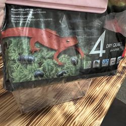 Small Lizard Or Reptile Cage Set