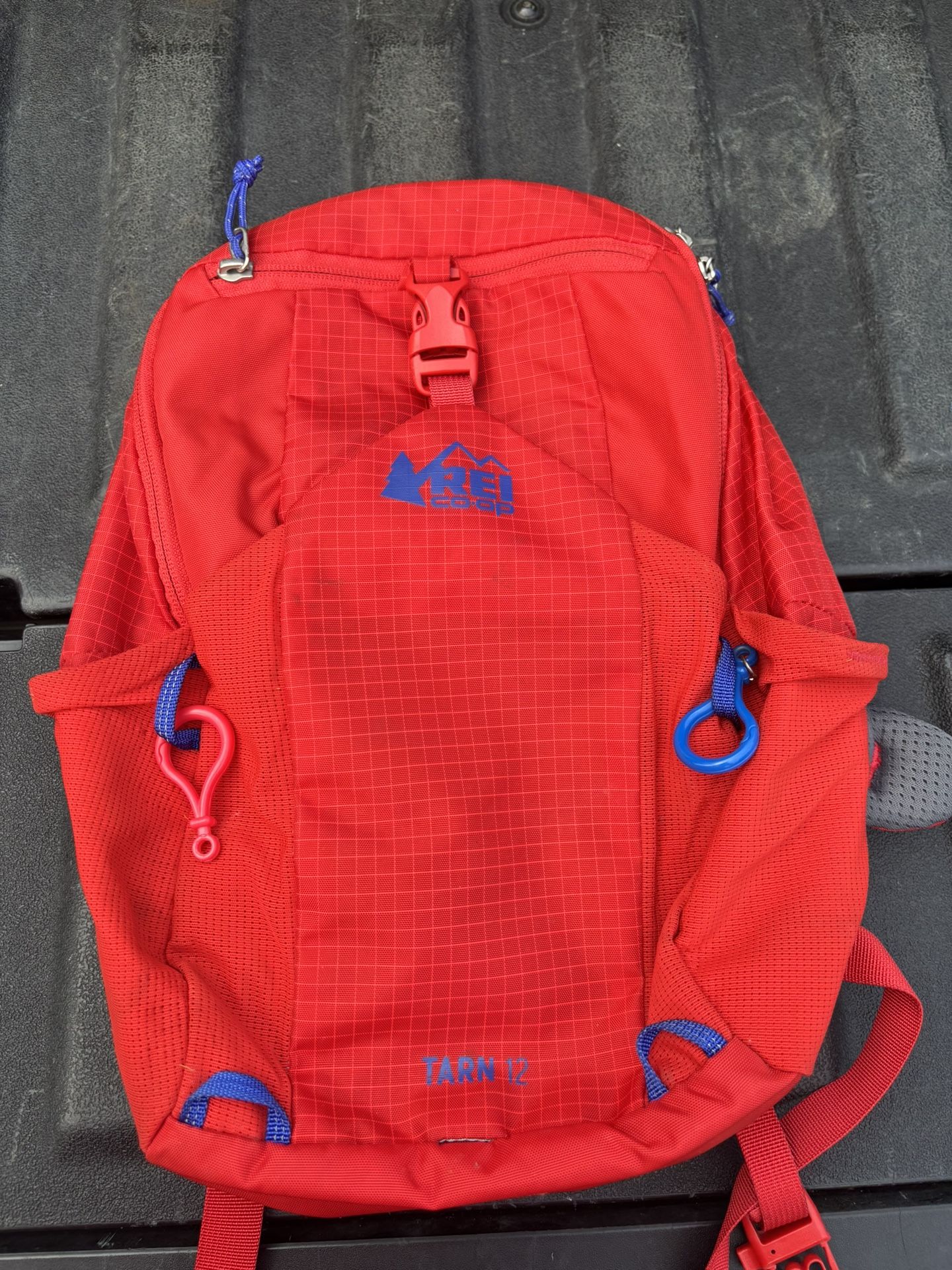 Kids REI Backpack