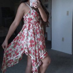 Roses And Wine Dress