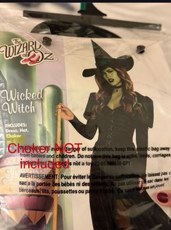 Wizard of Oz Witch Costume
