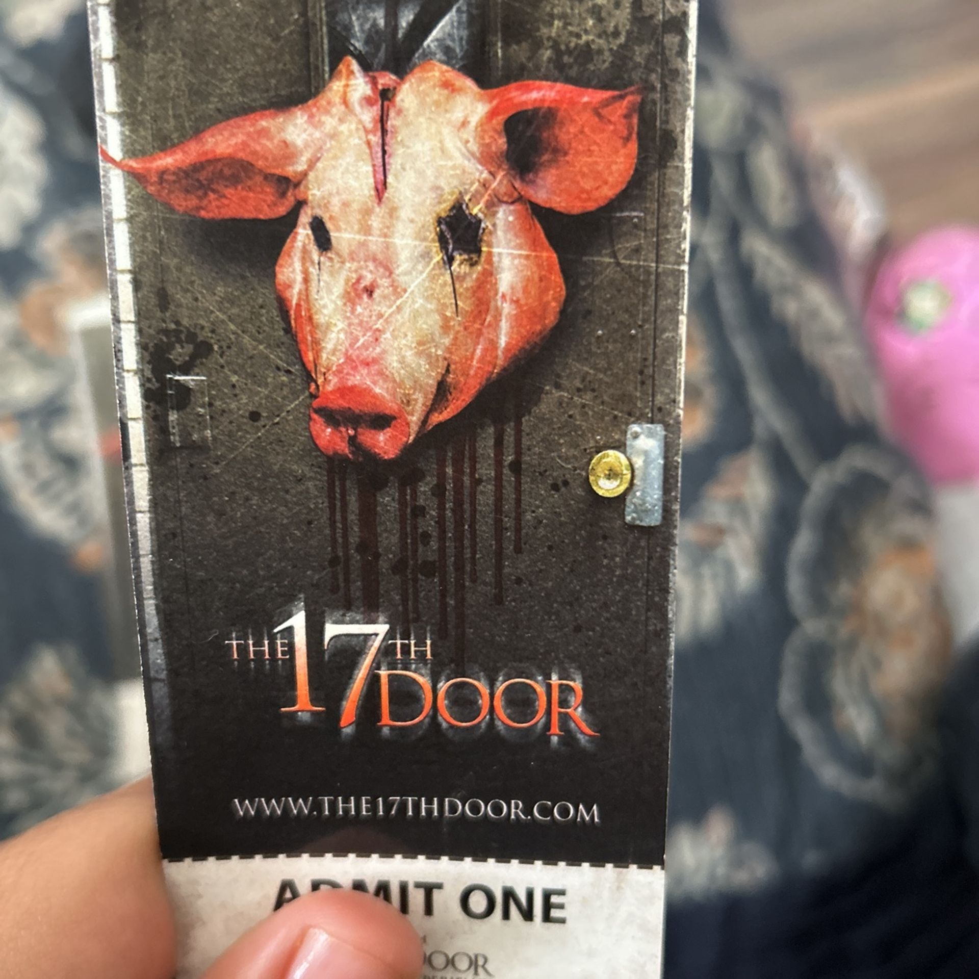 The 17th Door Ticket Admission