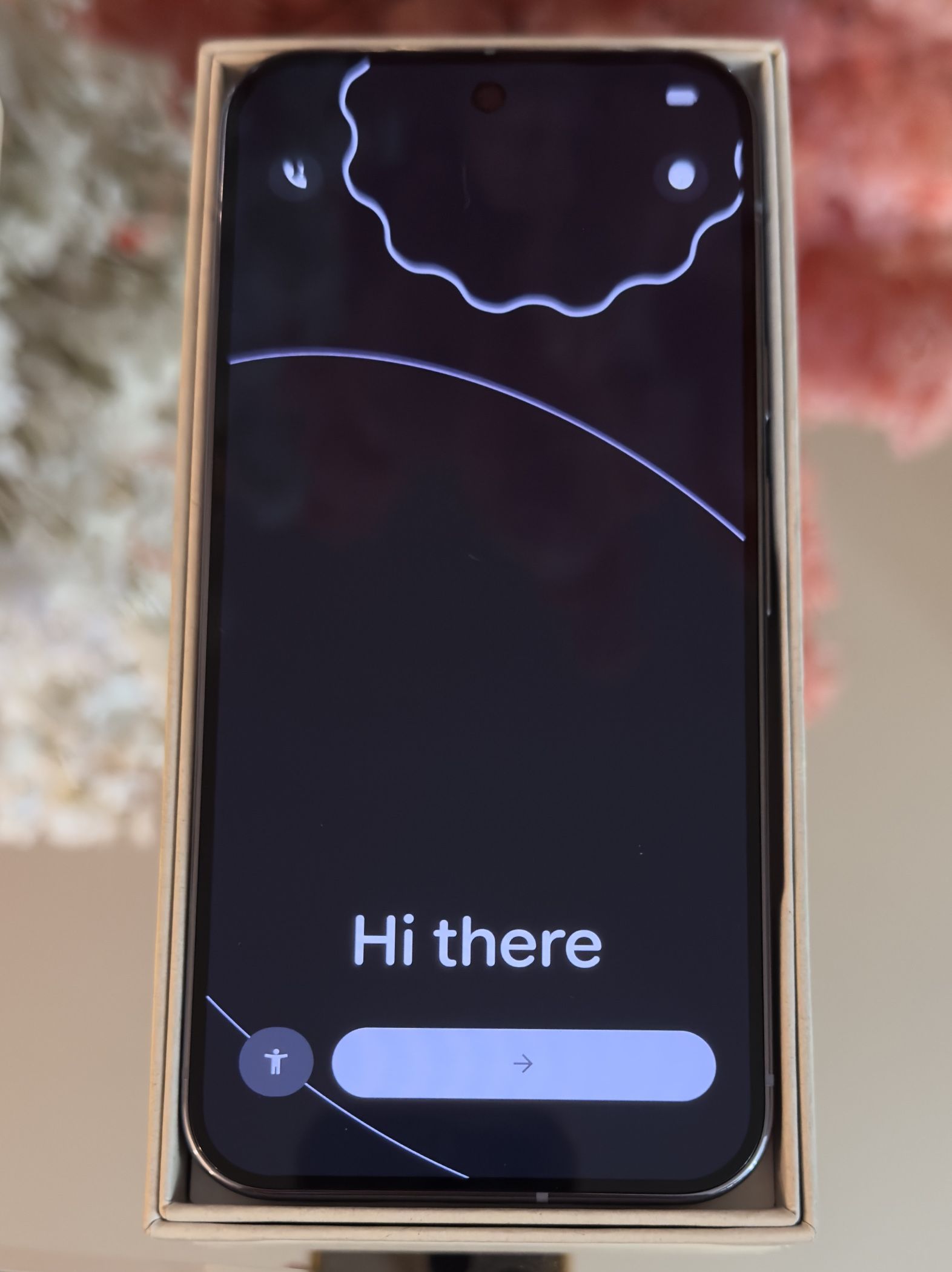 Google Pixel 10 Pro XL 256Gb
