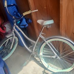Schwinn Bike