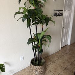 LARGE 6ft Artificial Plant Tree Faux Tropical Dracaena in Woven Basket Home Decor 