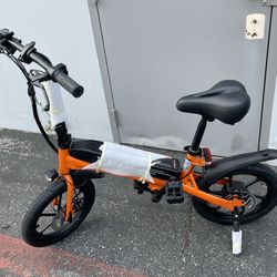 Electric Bike 25km/h 