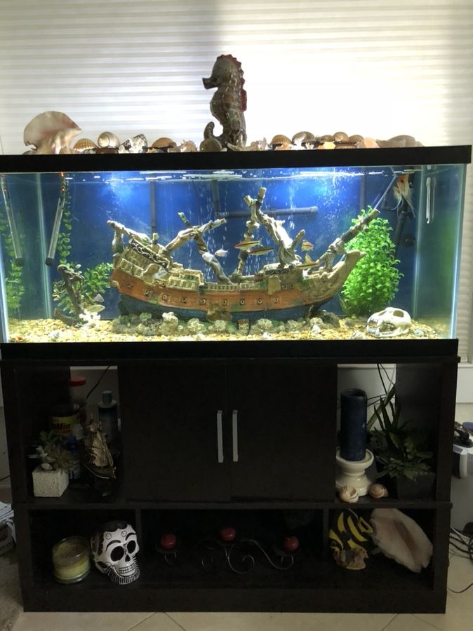 Awesome Complete 75 gallon fish tank set up.