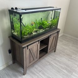 55 Gallon Fish Tank 