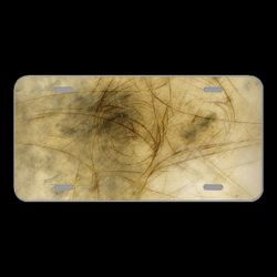 License Plate Novelty Car Front Structure Cracks Wave Light