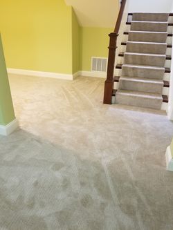 Lion's, carpet, installation