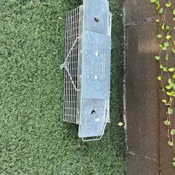 Live Animal Trap-Squirrel,  Rat